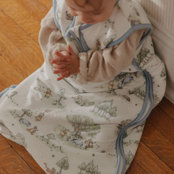 Sleep Bag - Hundred Acre Wood