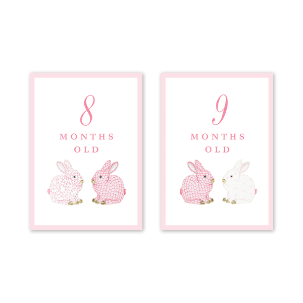 Bunnies Pink Milestone Cards