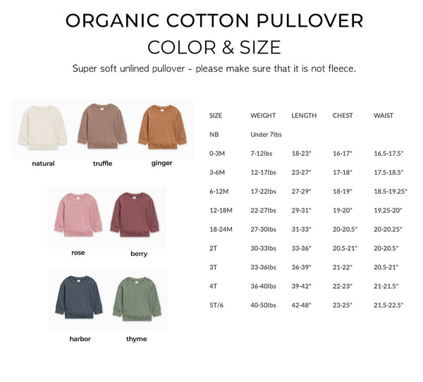 Big Brother Organic Cotton Boy Pullover Shirt