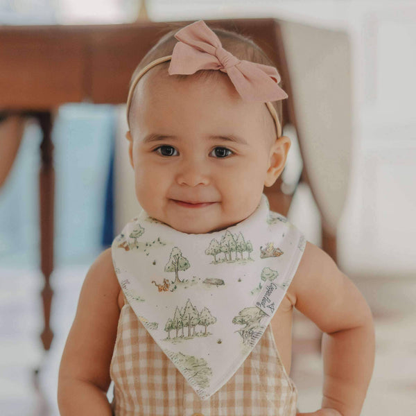 4 Pack Bibs - Hundred Acre Wood