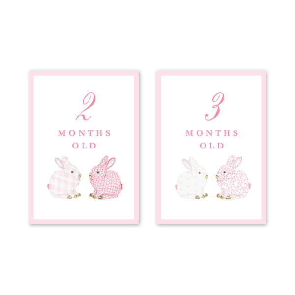 Bunnies Pink Milestone Cards