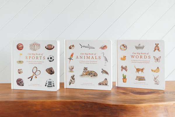 Our Big Book of Sports
