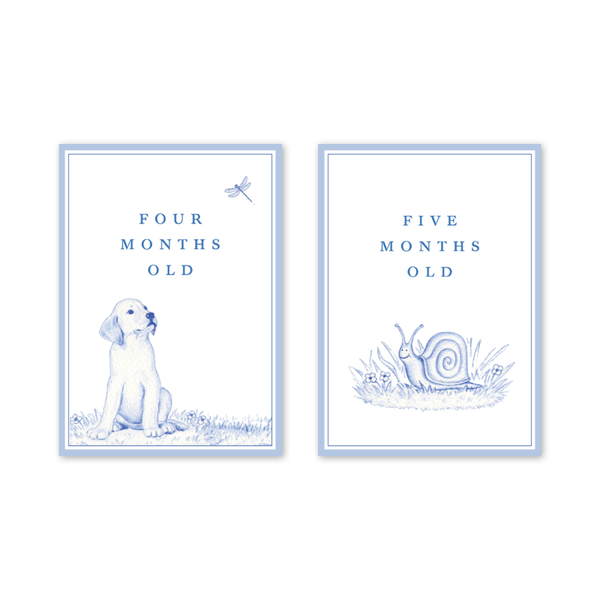Snips and Snails Milestone Cards