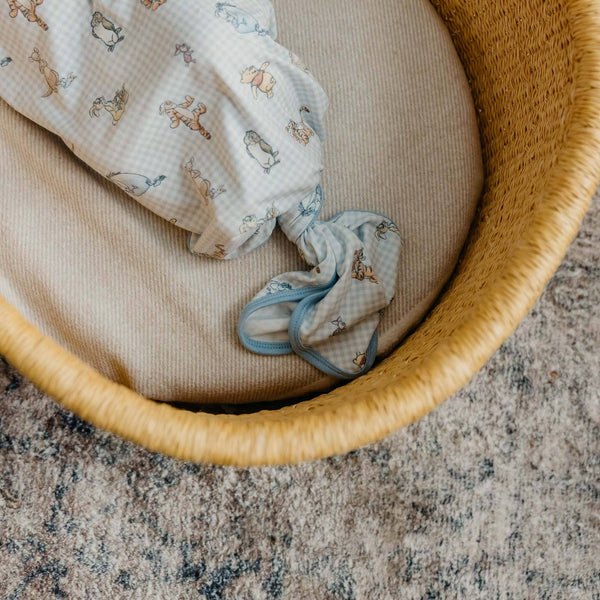 Newborn Knotted Gown - Winnie the Pooh and Friends