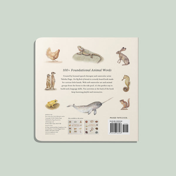 Our Big Book of Animals