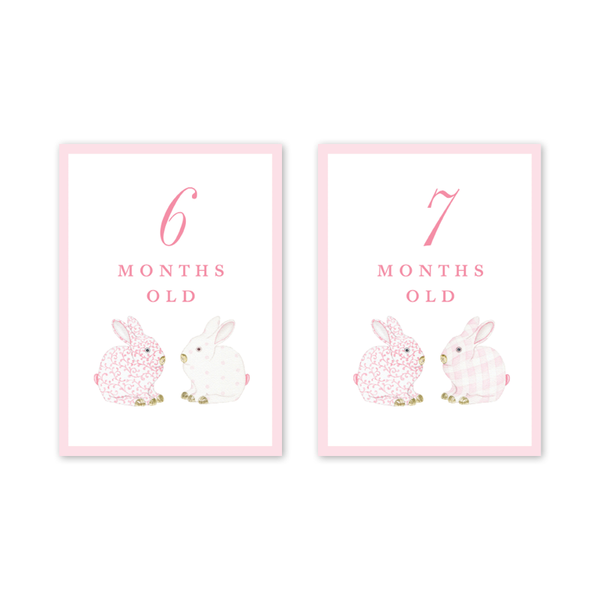 Bunnies Pink Milestone Cards