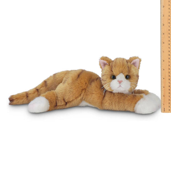 Lil' Tabby the Orange Cat