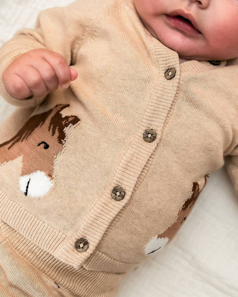 Horse Sweater