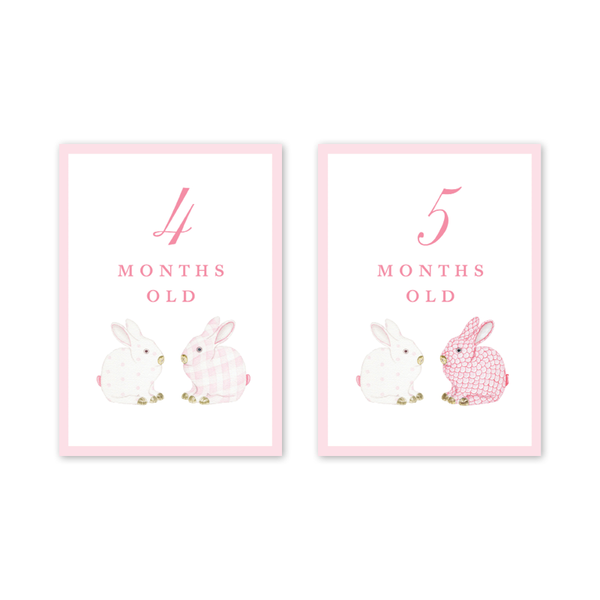 Bunnies Pink Milestone Cards