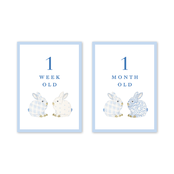 Bunnies Blue Milestone Cards