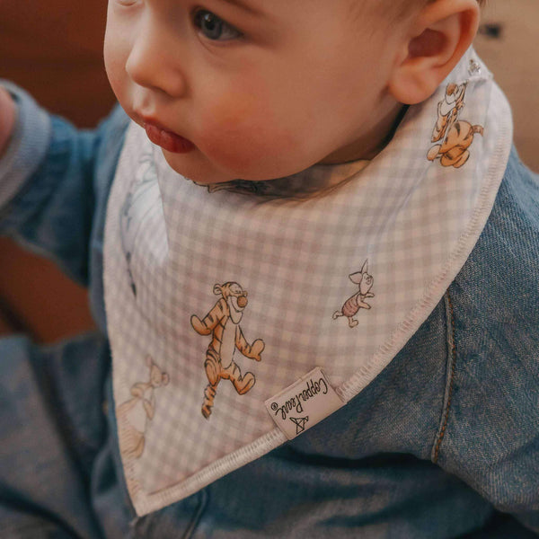 4 Pack Bibs - Hundred Acre Wood