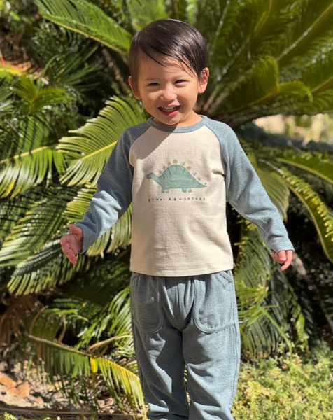 Dinosaur Pant Set
