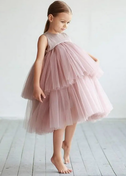 Annie & Charles Pink Tulle Dress