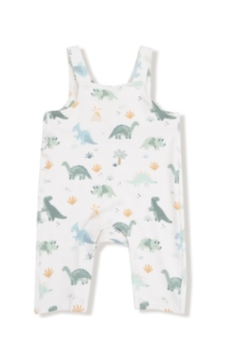 Soft Dino Overall Set