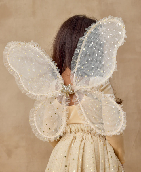 Nora Lee Fairy Wings