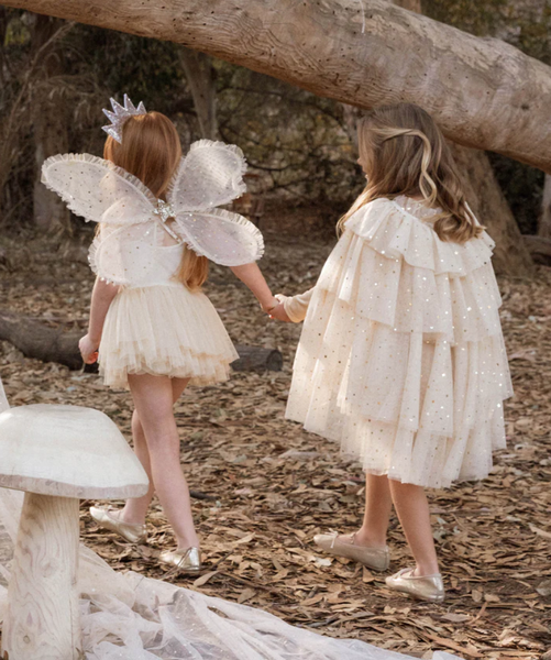 Nora Lee Fairy Wings