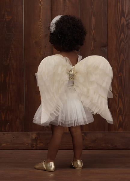 Nora Lee Fairy Wings