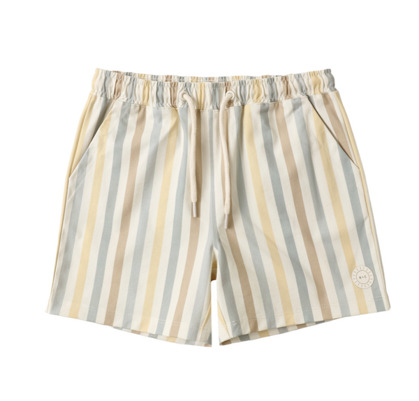 Valencia Stripe Swim