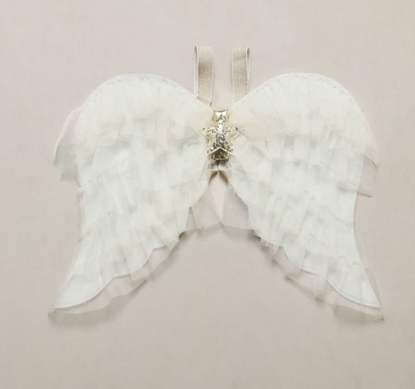 Nora Lee Fairy Wings