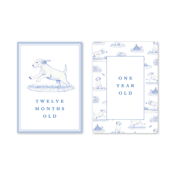 Snips and Snails Milestone Cards