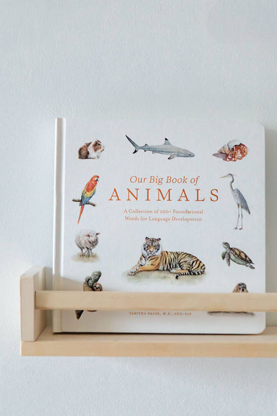 Our Big Book of Animals