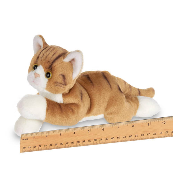 Lil' Tabby the Orange Cat
