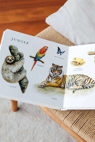 Our Big Book of Animals