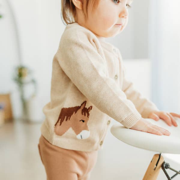 Horse Sweater
