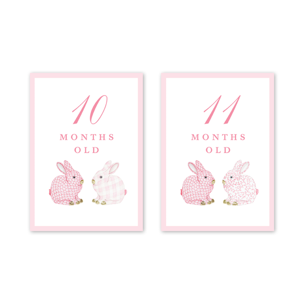 Bunnies Pink Milestone Cards