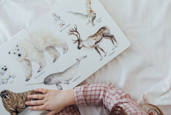 Our Big Book of Animals